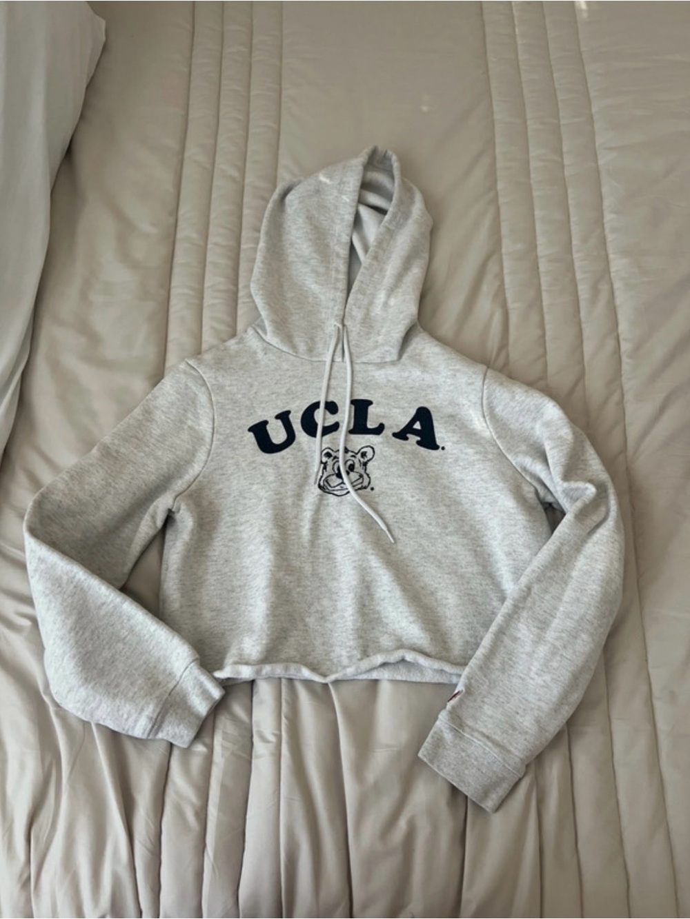 UCLA Gray Cropped Hoodie Sweatshirt